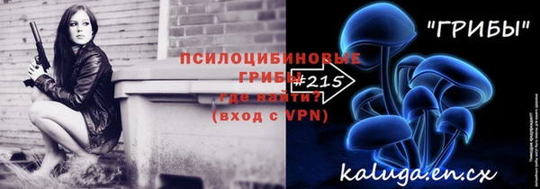 ECSTASY Михайлов
